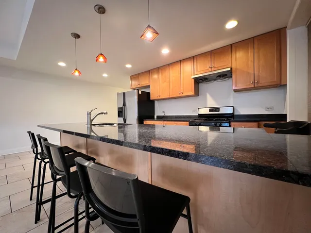 $325,000 | 2615 South Lowe Avenue, Unit 1S, Chicago, IL 60616