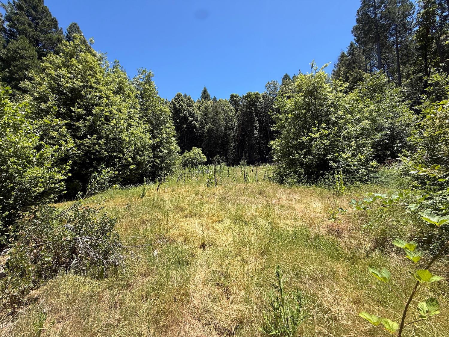 17243 Indiana Ranch Road Challenge, CA 95925 - Photo 3 of 22
