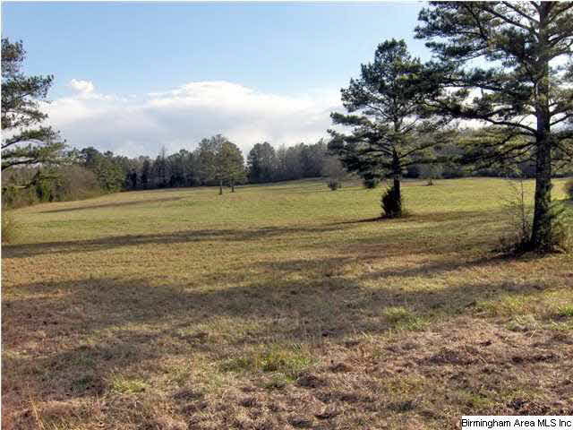 Lay Dam Road, Unit 250 Clanton, AL 35046 - Photo 10 of 10