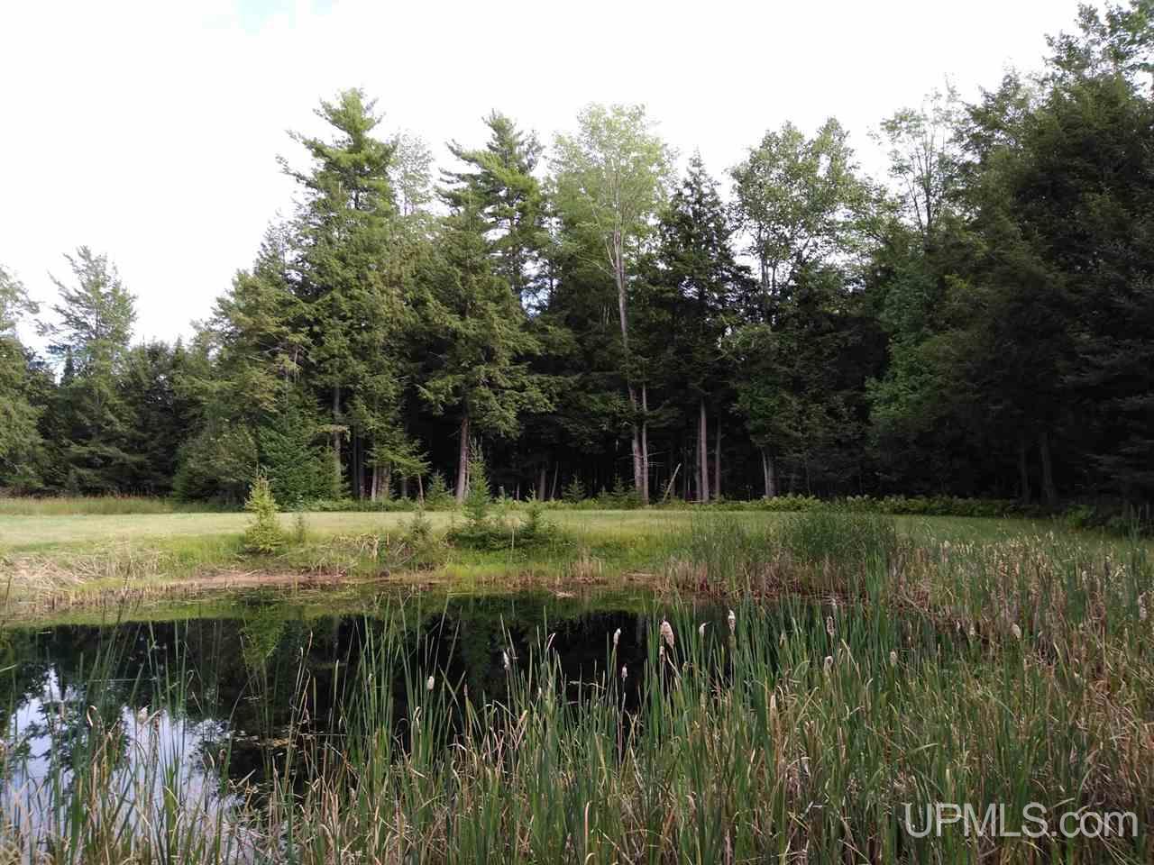 8091 Co Road Rapid River, MI 49878 - Photo 22 of 25 Gallery Image 22