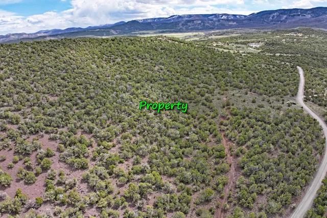 a view of a street with a yard in back