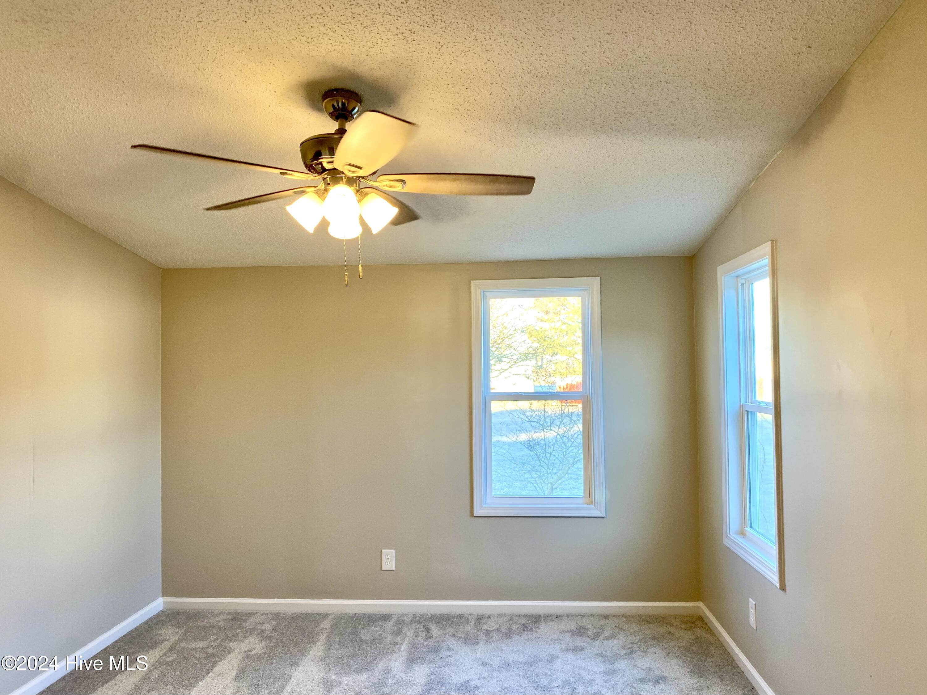 1067 Haw Branch Road Beulaville, NC 28518 - Photo 29 of 31 IMG_9893