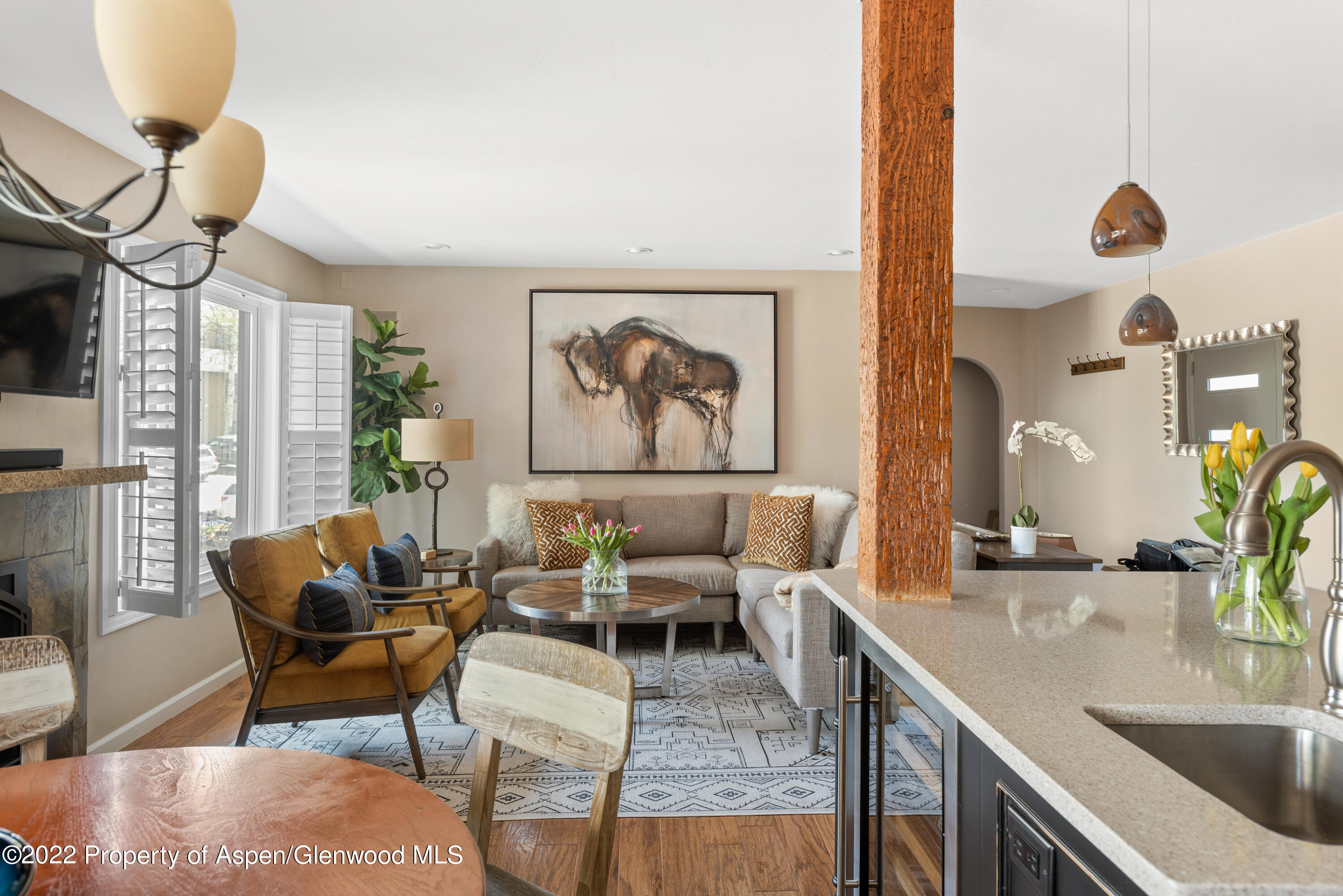 35 Lower Woodbridge Road, Unit T169 Snowmass Village, CO 81615 - Photo 2 of 9 35 Lower Woodbridge Rd T169-print-005-00