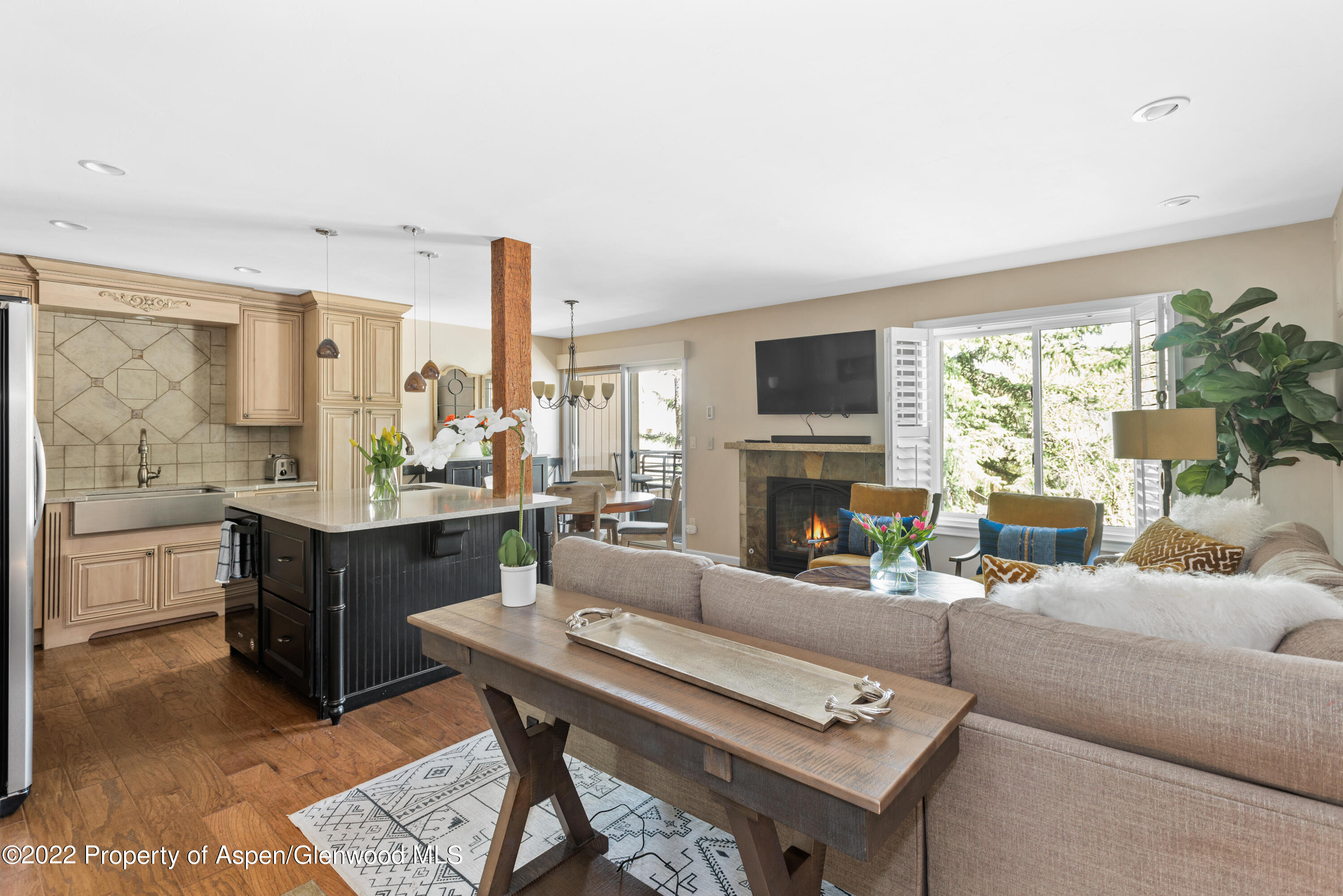 35 Lower Woodbridge Road, Unit T169 Snowmass Village, CO 81615 - Photo 4 of 9 35 Lower Woodbridge Rd T169-print-004-01