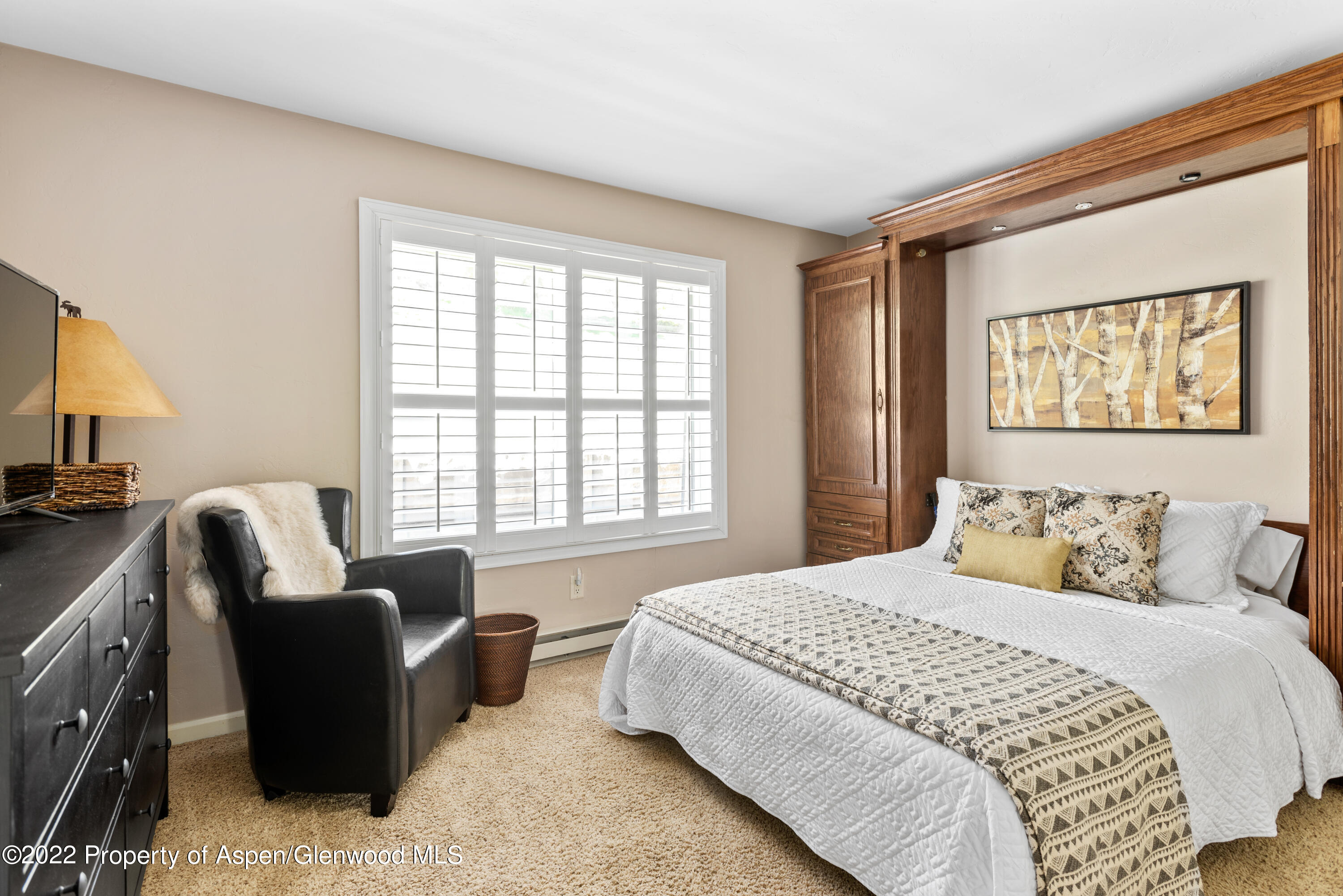 35 Lower Woodbridge Road, Unit T169 Snowmass Village, CO 81615 - Photo 6 of 9 35 Lower Woodbridge Rd T169-print-007-00