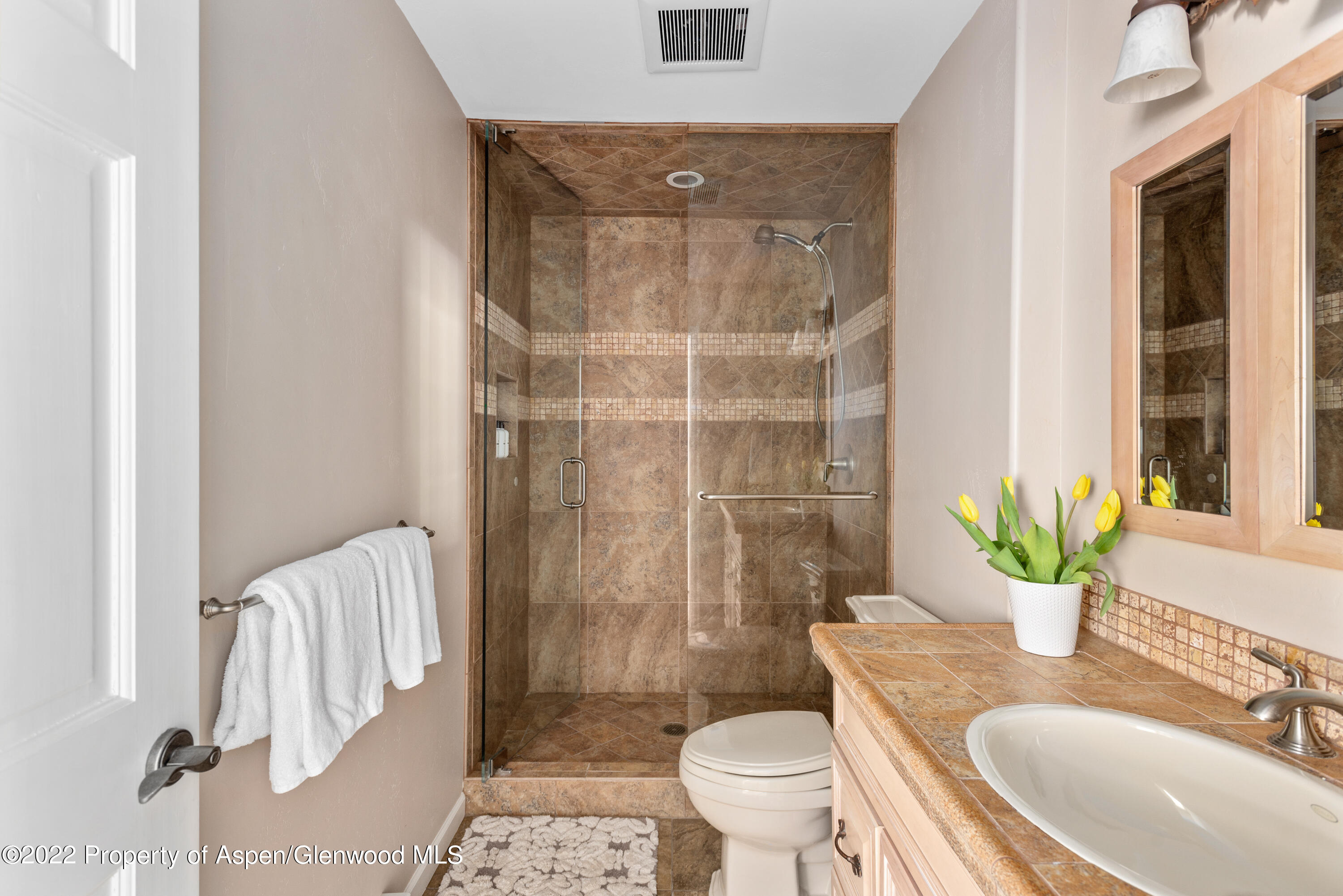 35 Lower Woodbridge Road, Unit T169 Snowmass Village, CO 81615 - Photo 7 of 9 35 Lower Woodbridge Rd T169-print-008-00