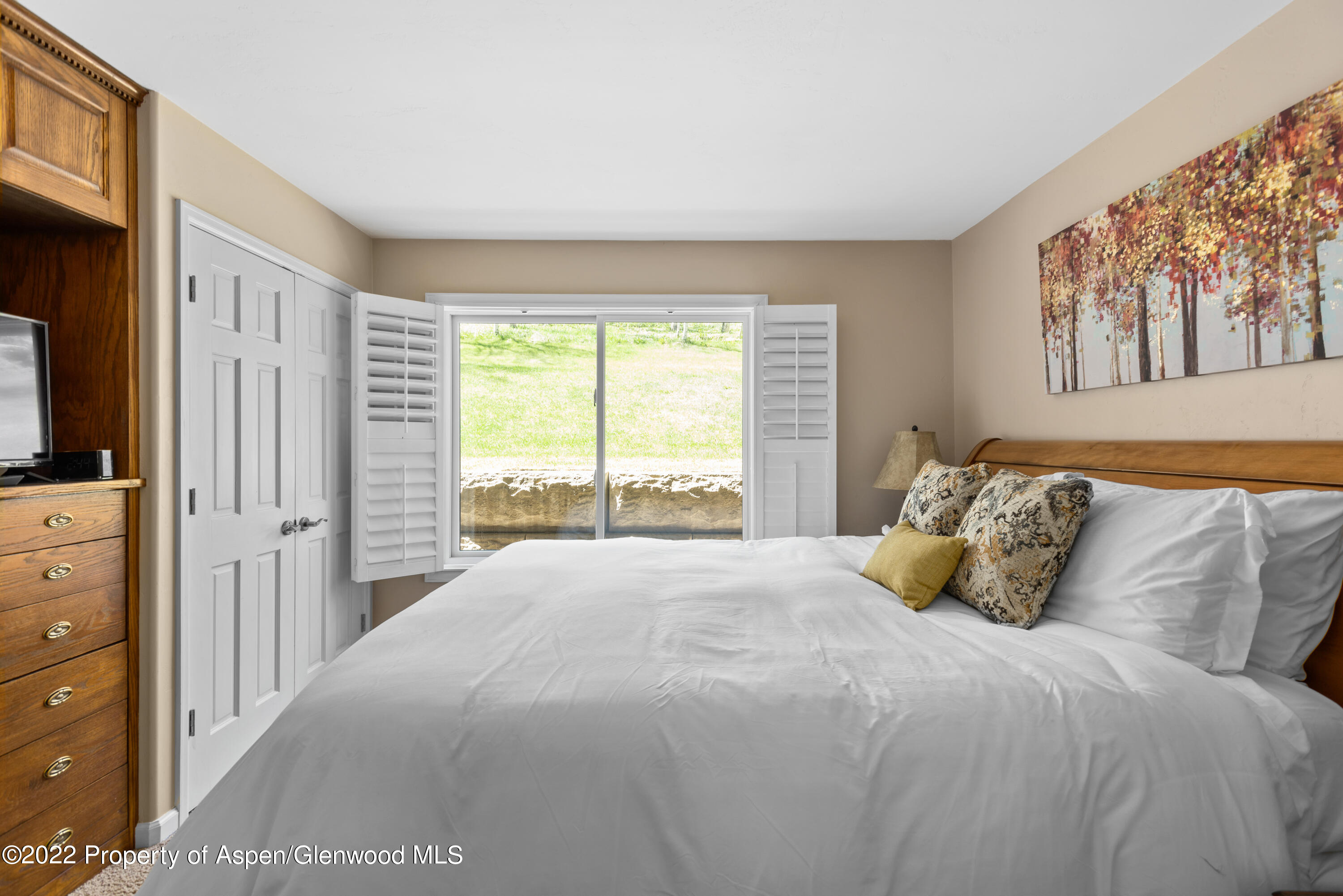 35 Lower Woodbridge Road, Unit T169 Snowmass Village, CO 81615 - Photo 8 of 9 35 Lower Woodbridge Rd T169-print-009-00