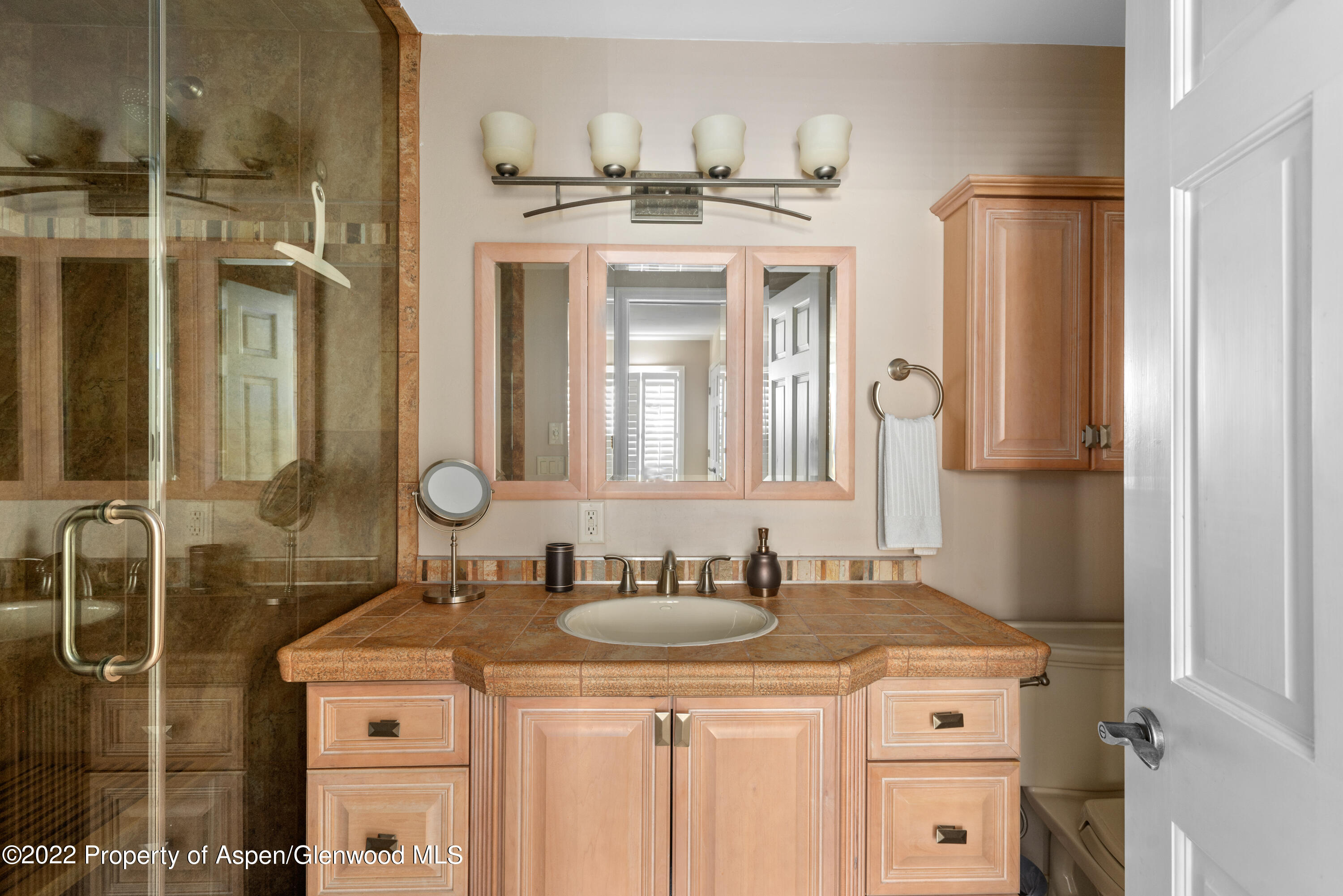 35 Lower Woodbridge Road, Unit T169 Snowmass Village, CO 81615 - Photo 9 of 9 35 Lower Woodbridge Rd T169-print-010-00