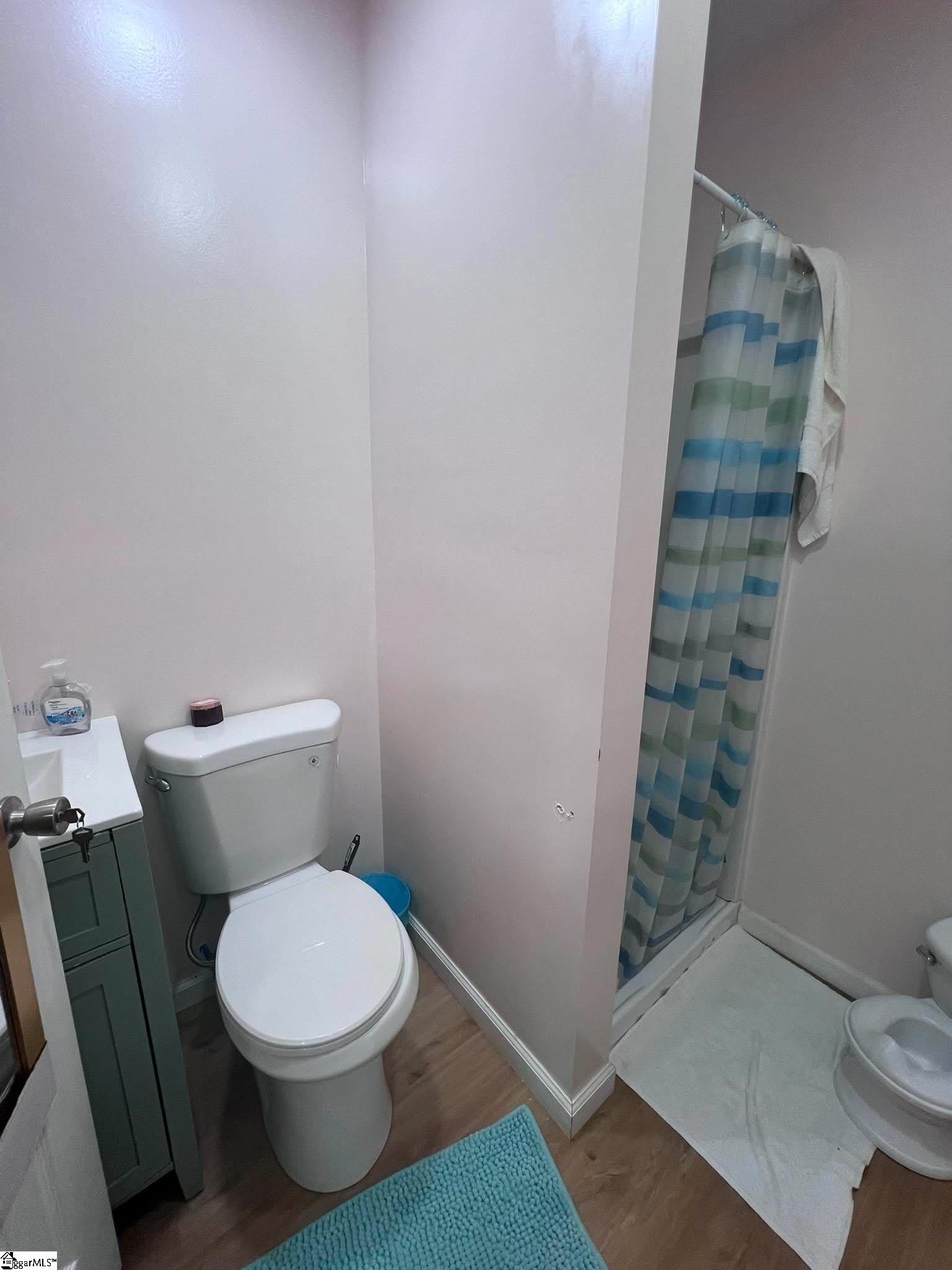 217 Old River Road Pelzer, SC 29669 - Photo 26 of 32 Gallery Image 26