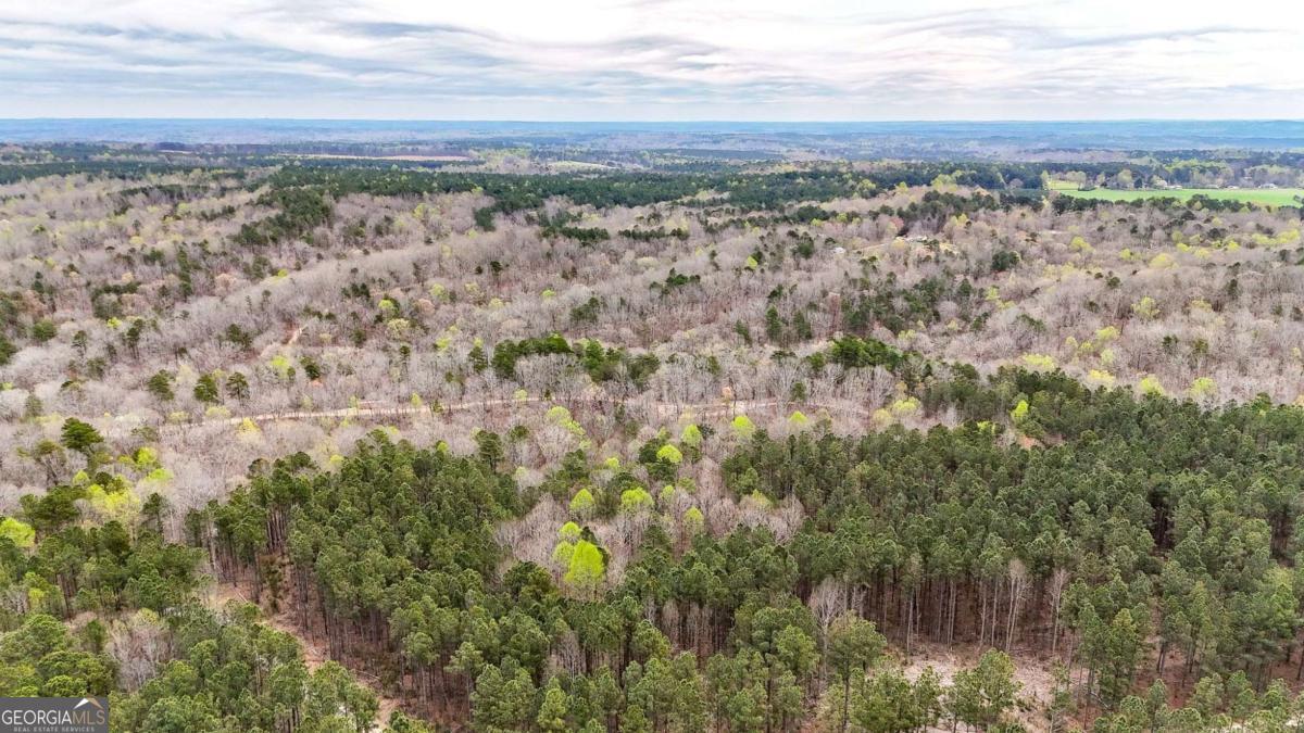 0 Felton Rockmart Road Buchanan, GA 30113 - Photo 37 of 47