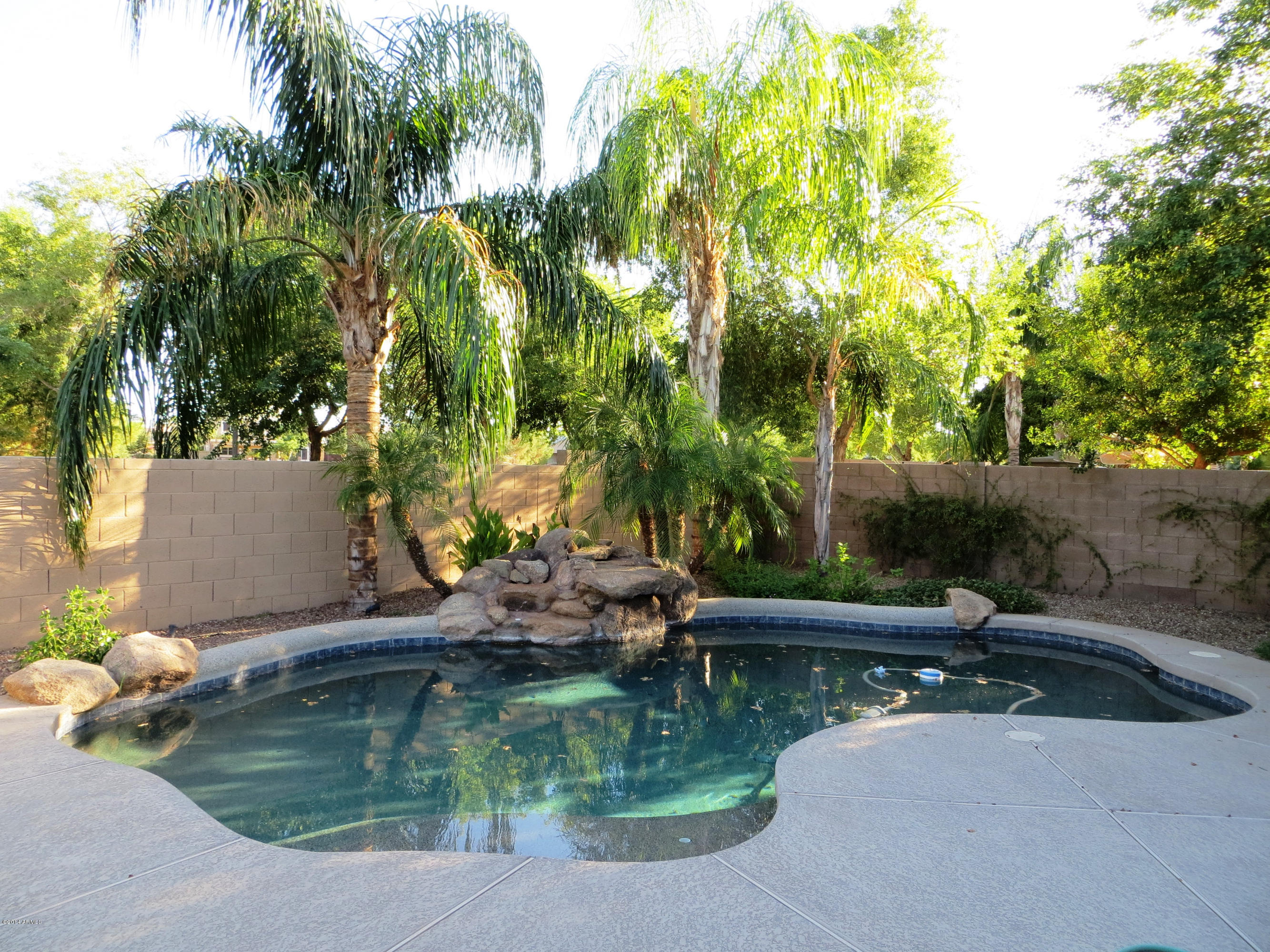 3311 East Kimball Road Gilbert, AZ 85297 - Photo 22 of 25 IMG_0188