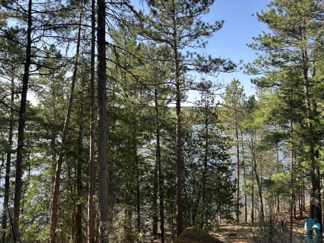 3506 Hanson Lk Road Ely, MN 55731 - Photo 20 of 26