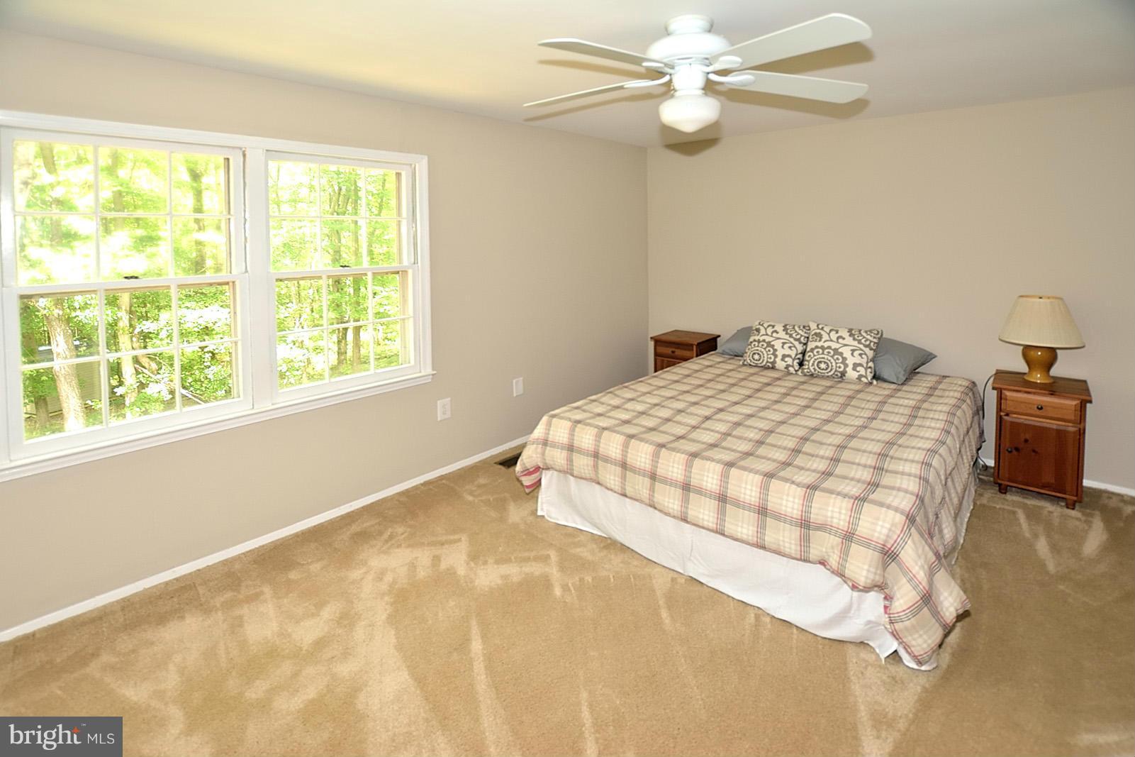 2306 Toddsbury Place Reston, VA 20191 - Photo 18 of 25 Bedroom (Master)