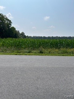 0 Skillet Road Scipio Center, NY 13147 - Photo 1 of 1 Gallery Image 1