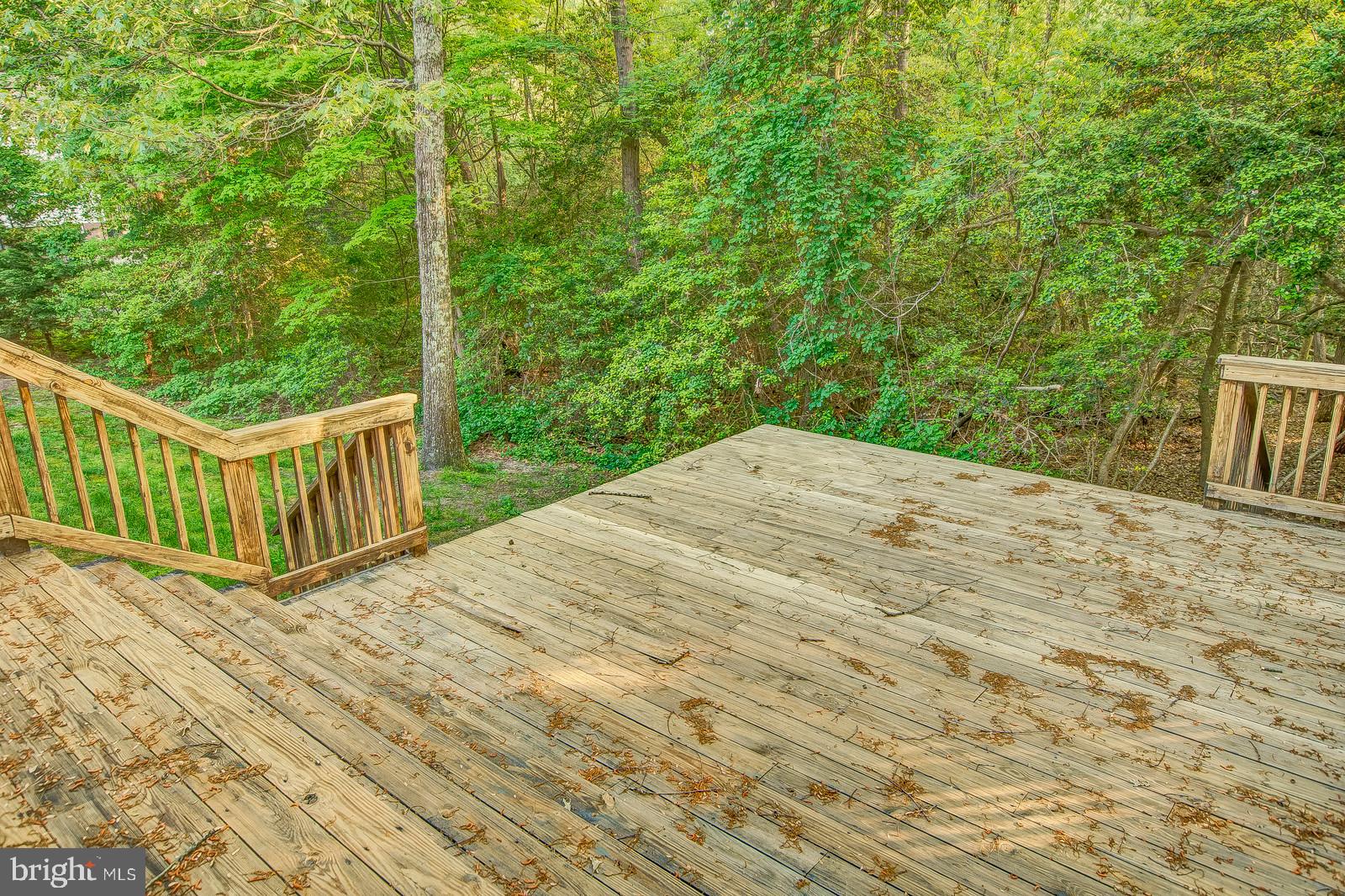 6815 Mackall Road St. Leonard, MD 20685 - Photo 35 of 38 a view of a backyard
