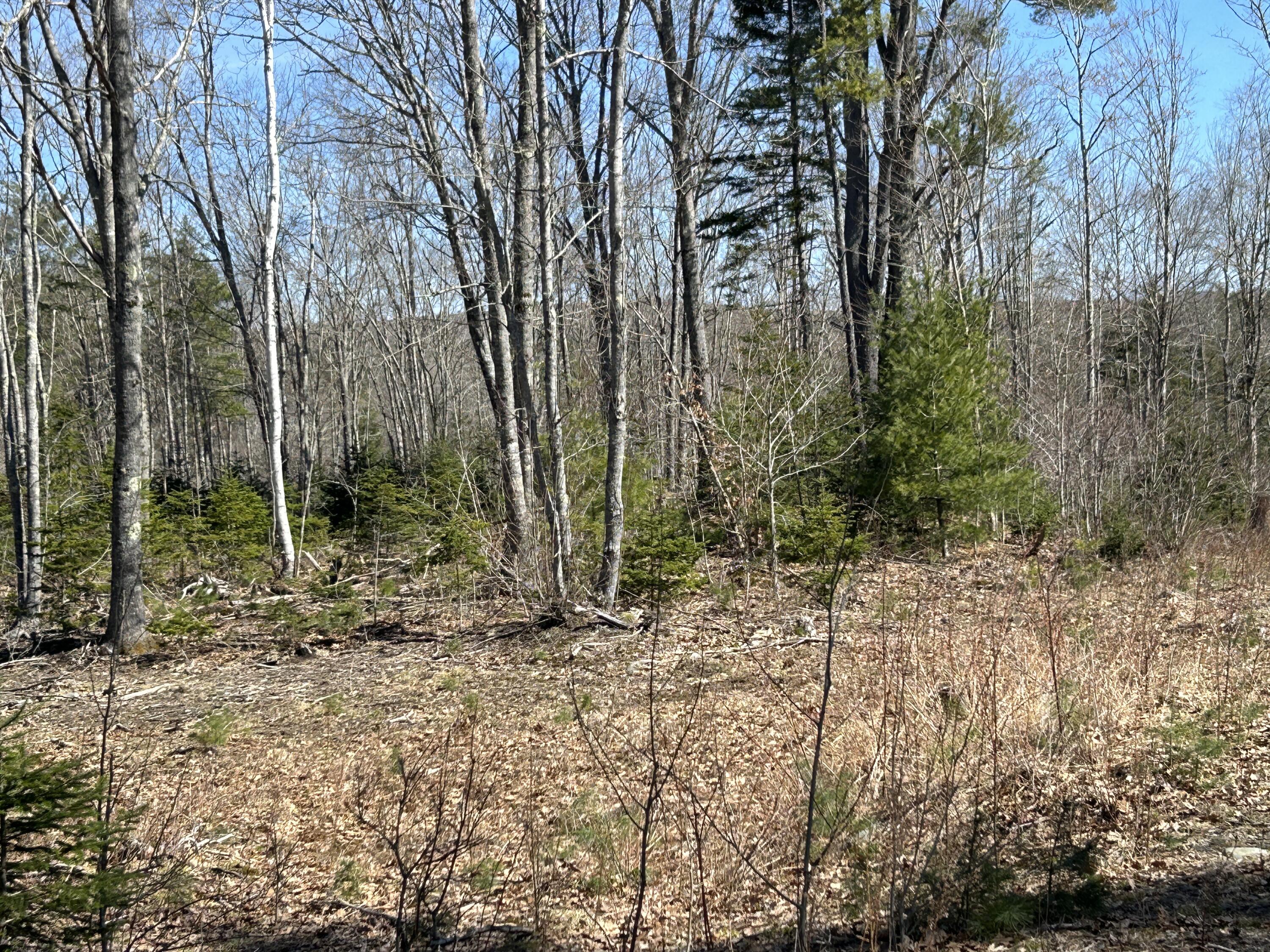 Lot 1 Chapel Road Waldoboro, ME 04572 - Photo 13 of 13 FCB16CC6-C31D-4F3F-B1B2-B3056DCF6B14