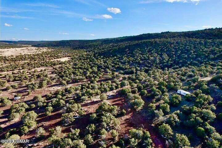 Pinon Pinon Valley Ranch Concho, AZ 85924 - Photo 11 of 31