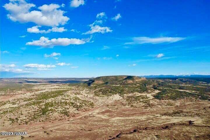 Pinon Pinon Valley Ranch Concho, AZ 85924 - Photo 12 of 31