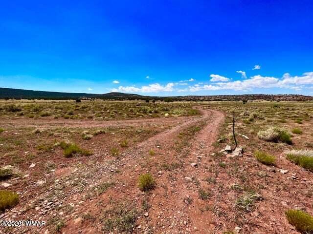 Pinon Pinon Valley Ranch Concho, AZ 85924 - Photo 13 of 31