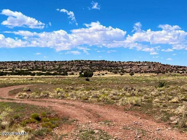 Pinon Pinon Valley Ranch Concho, AZ 85924 - Photo 14 of 31