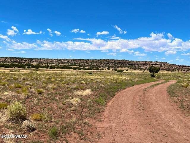 Pinon Pinon Valley Ranch Concho, AZ 85924 - Photo 16 of 31