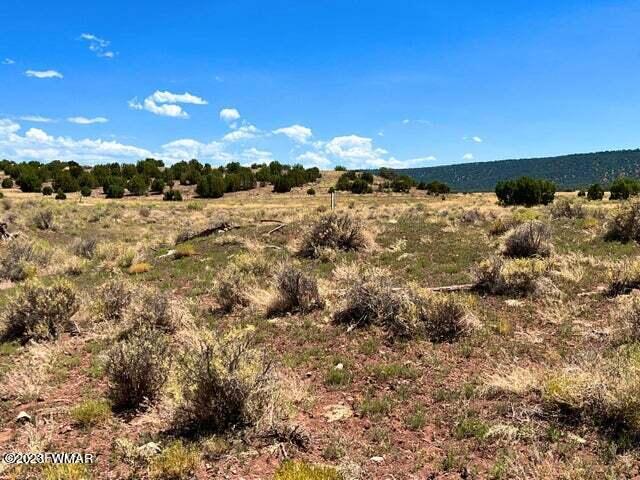 Pinon Pinon Valley Ranch Concho, AZ 85924 - Photo 17 of 31