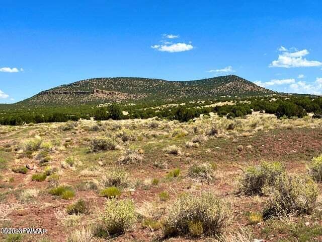 Pinon Pinon Valley Ranch Concho, AZ 85924 - Photo 18 of 31