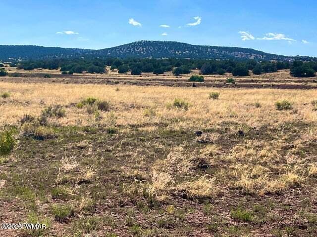 Pinon Pinon Valley Ranch Concho, AZ 85924 - Photo 19 of 31