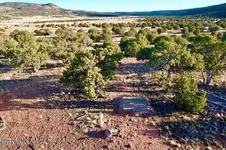 Pinon Pinon Valley Ranch Concho, AZ 85924 - Photo 2 of 31