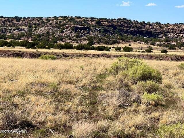 Pinon Pinon Valley Ranch Concho, AZ 85924 - Photo 21 of 31