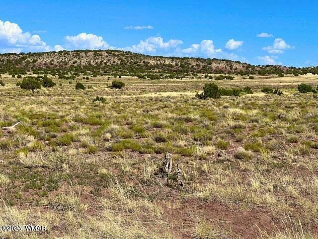 Pinon Pinon Valley Ranch Concho, AZ 85924 - Photo 22 of 31
