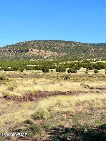 Pinon Pinon Valley Ranch Concho, AZ 85924 - Photo 23 of 31