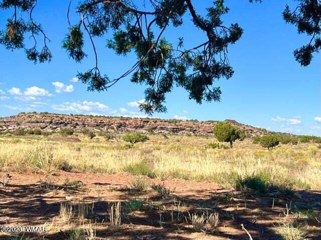 Pinon Pinon Valley Ranch Concho, AZ 85924 - Photo 24 of 31