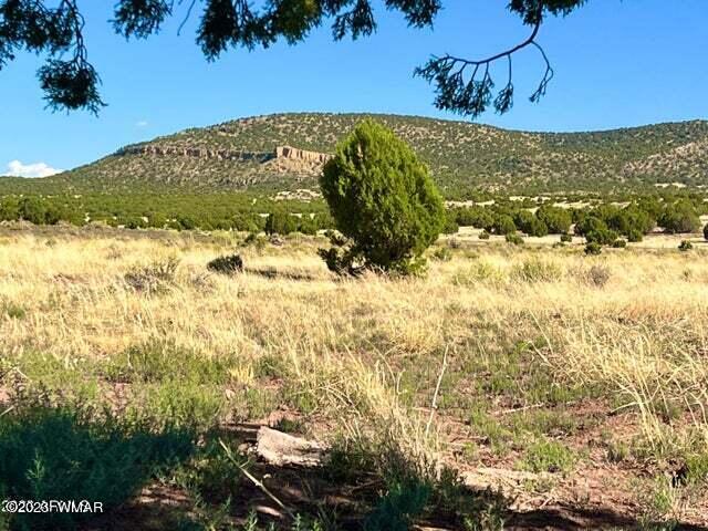 Pinon Pinon Valley Ranch Concho, AZ 85924 - Photo 25 of 31