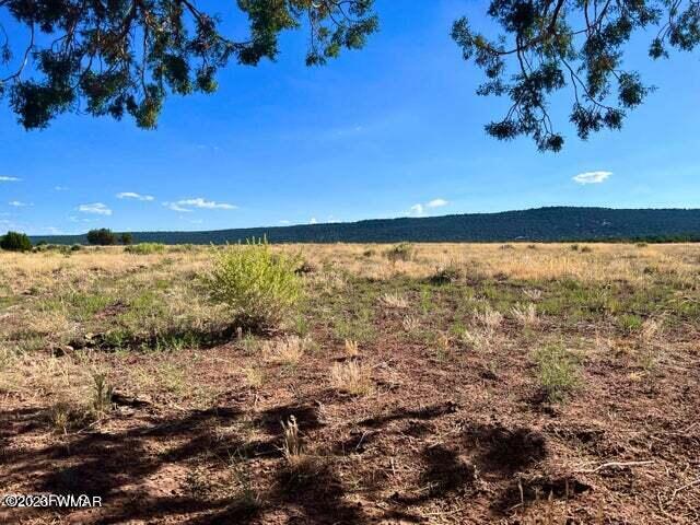 Pinon Pinon Valley Ranch Concho, AZ 85924 - Photo 26 of 31