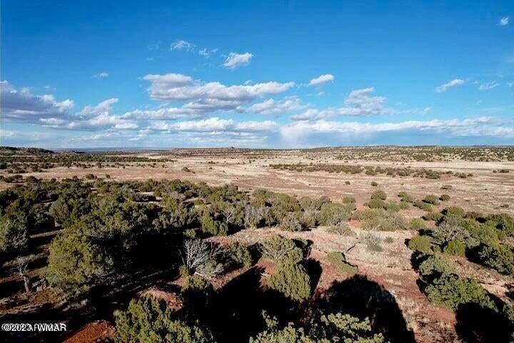 Pinon Pinon Valley Ranch Concho, AZ 85924 - Photo 27 of 31