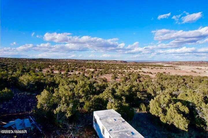 Pinon Pinon Valley Ranch Concho, AZ 85924 - Photo 28 of 31