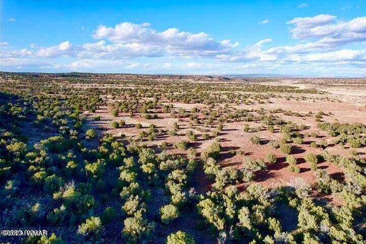 Pinon Pinon Valley Ranch Concho, AZ 85924 - Photo 30 of 31