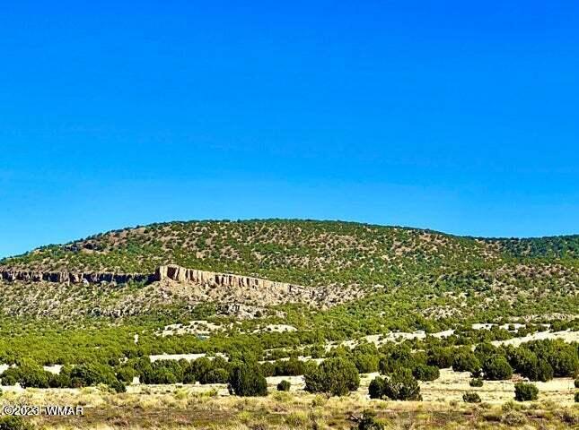 Pinon Pinon Valley Ranch Concho, AZ 85924 - Photo 3 of 31