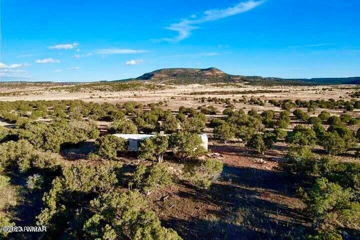 Pinon Pinon Valley Ranch Concho, AZ 85924 - Photo 4 of 31