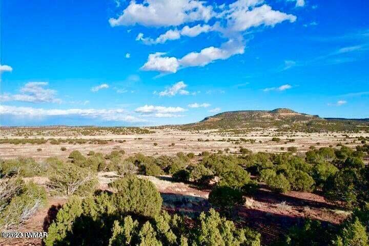 Pinon Pinon Valley Ranch Concho, AZ 85924 - Photo 5 of 31