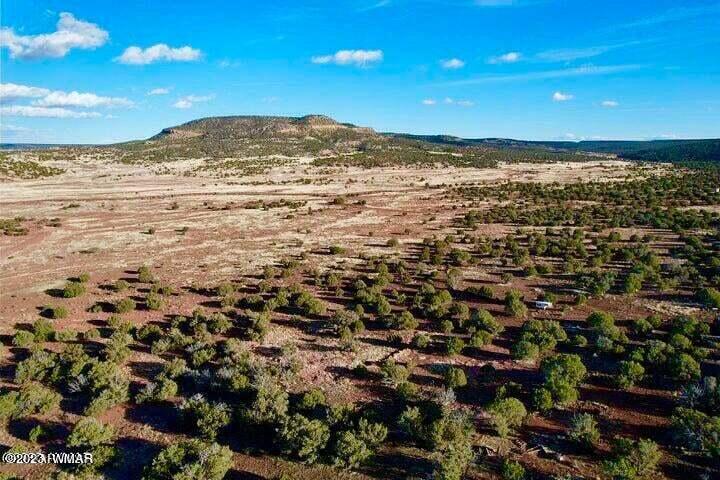 Pinon Pinon Valley Ranch Concho, AZ 85924 - Photo 6 of 31