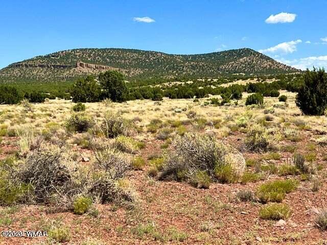 Pinon Pinon Valley Ranch Concho, AZ 85924 - Photo 7 of 31