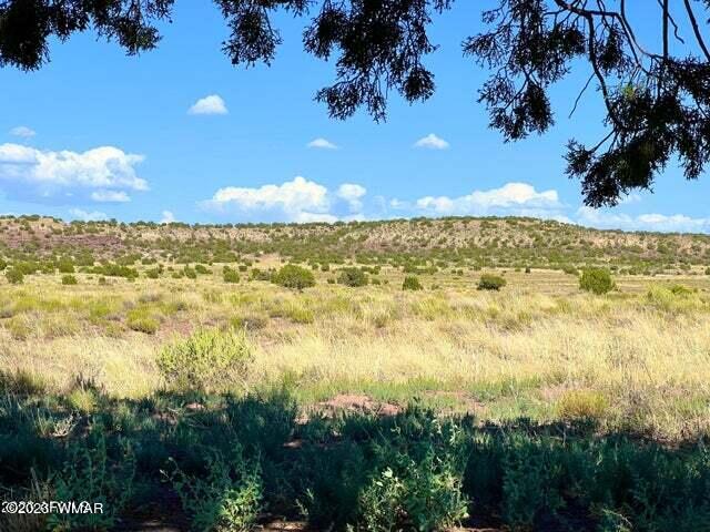 Pinon Pinon Valley Ranch Concho, AZ 85924 - Photo 8 of 31