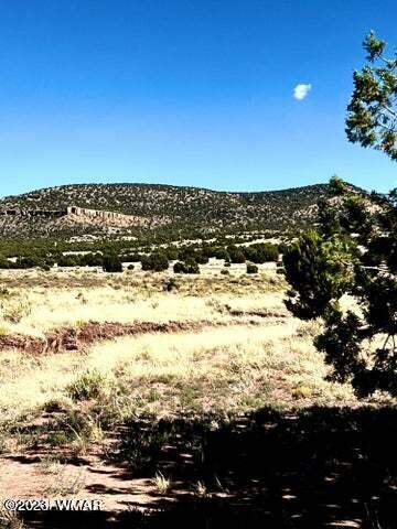 Pinon Pinon Valley Ranch Concho, AZ 85924 - Photo 9 of 31
