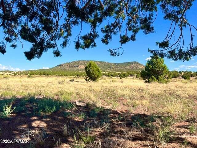 Pinon Pinon Valley Ranch Concho, AZ 85924 - Photo 10 of 31