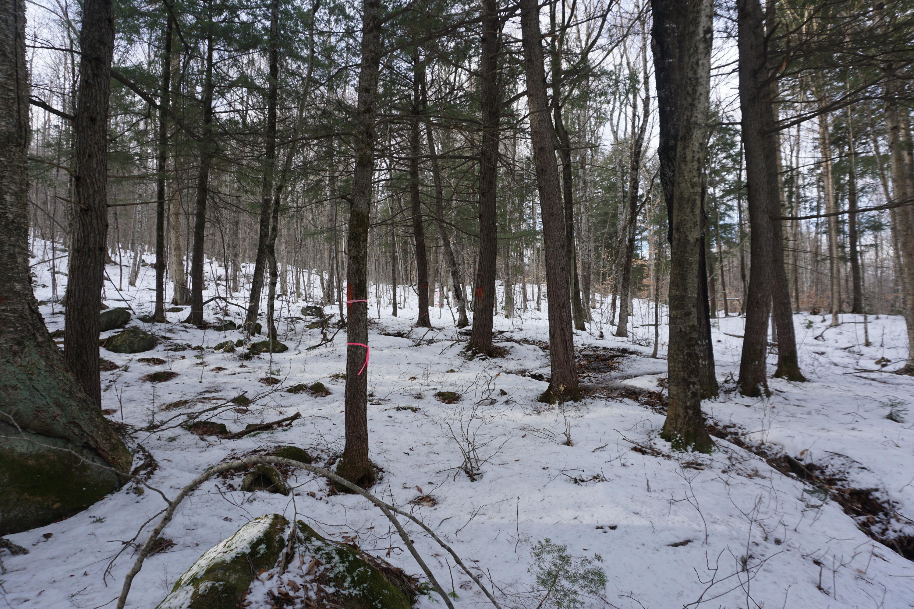 M13-l18a-2 Redding Road Bryant Pond, ME 04219 - Photo 14 of 29 DSC04783