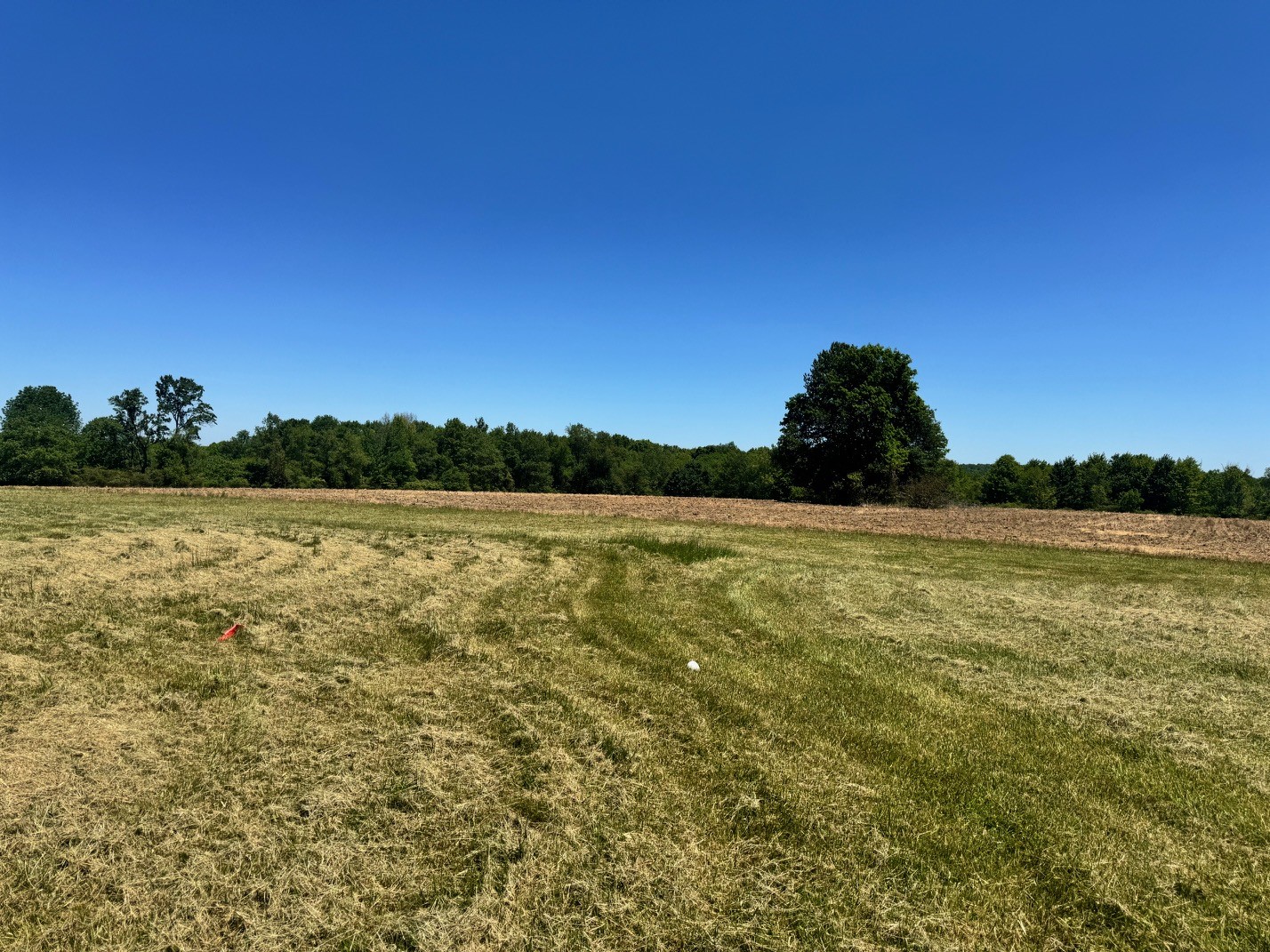 22938 County Line Road Cochranton, PA 16314 - Photo 44 of 47 YARD