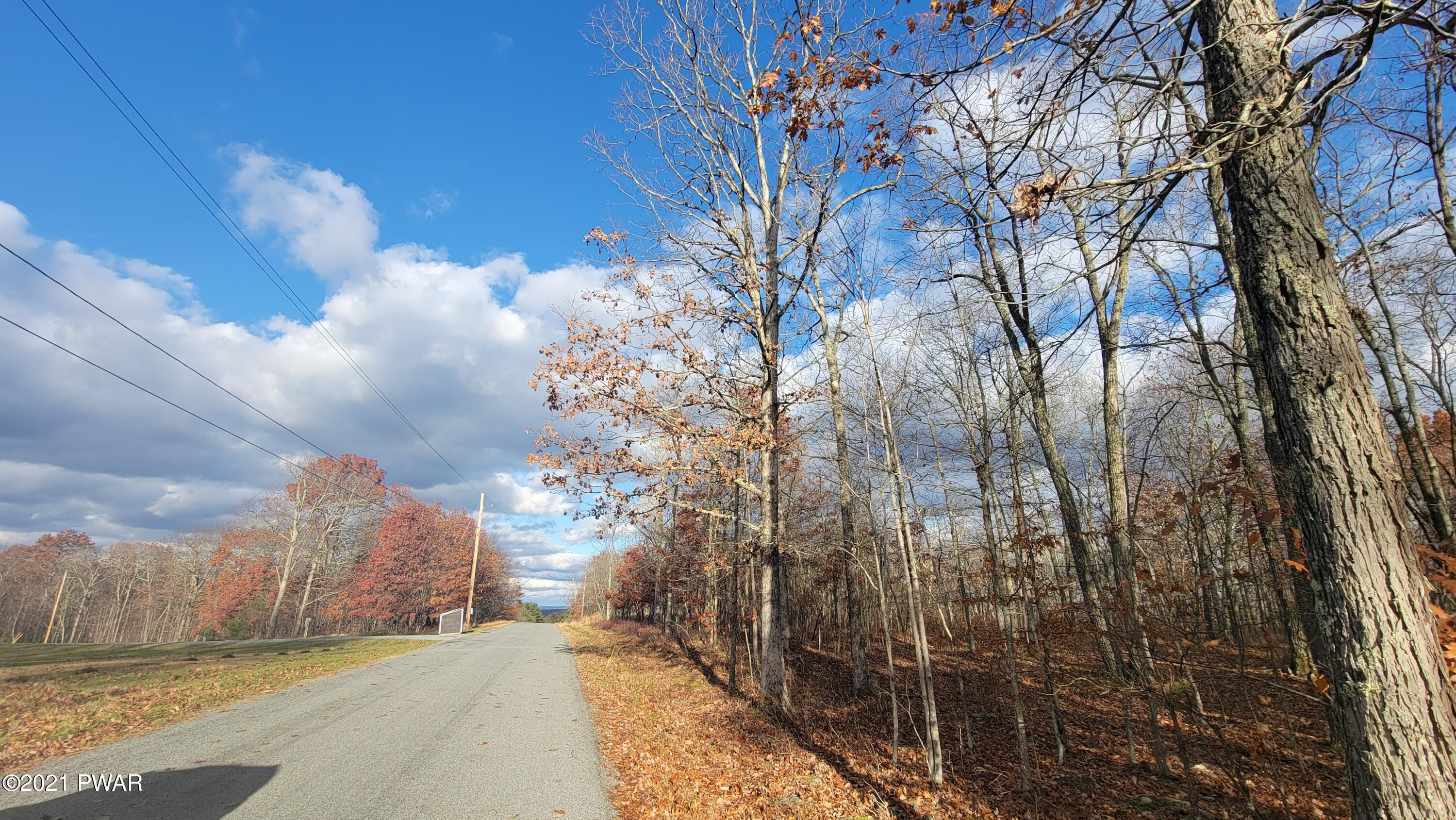 Lot 61 Perry Pond Road Narrowsburg, NY 12764 - Photo 2 of 19