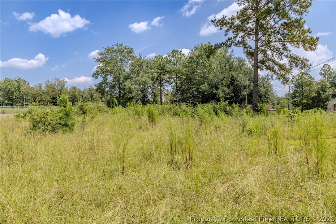 546 Pearsall Road Red Springs, NC 28377 - Photo 2 of 3 Gallery Image 2